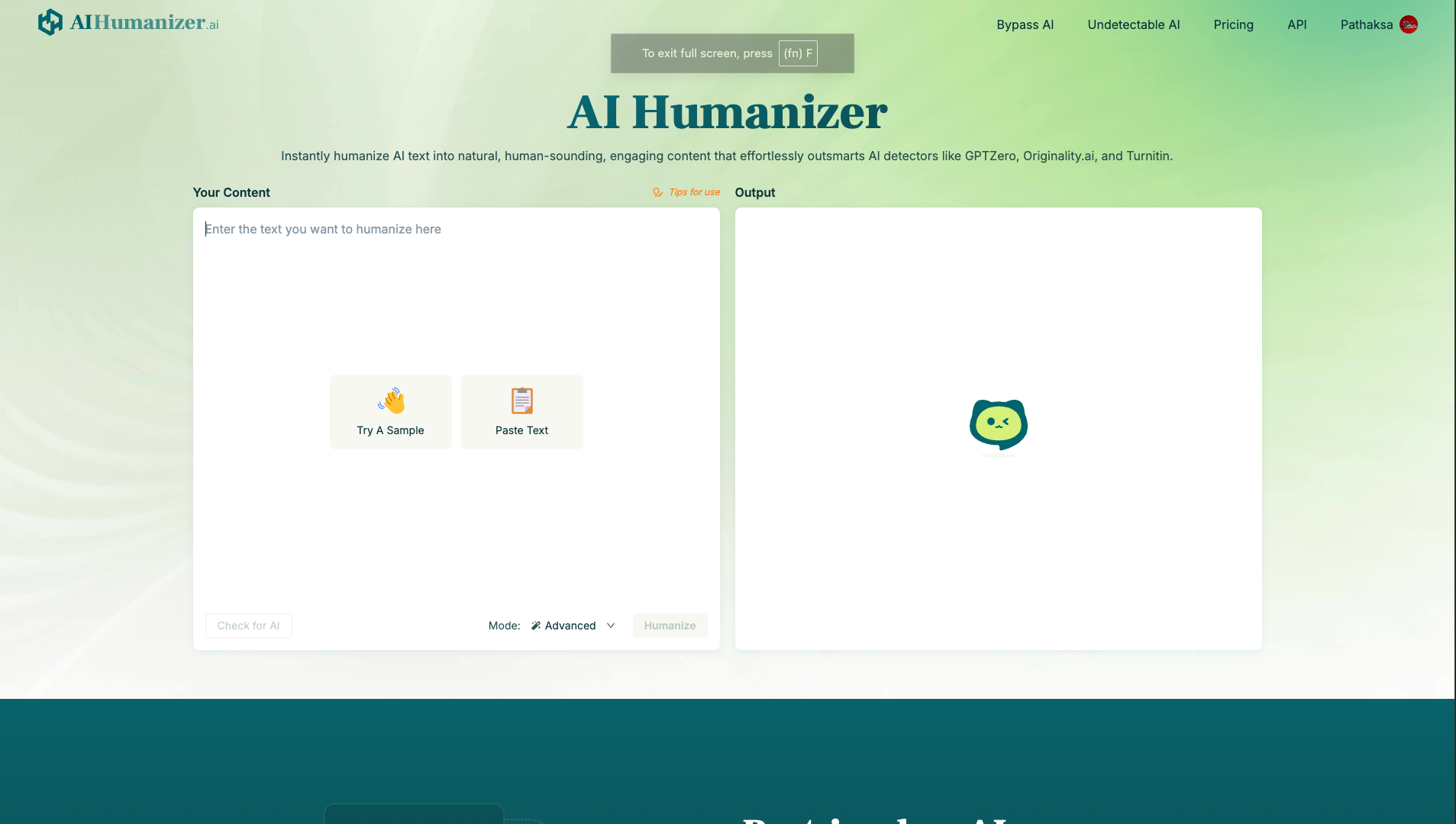 Screenshot of the AIHumanizer website