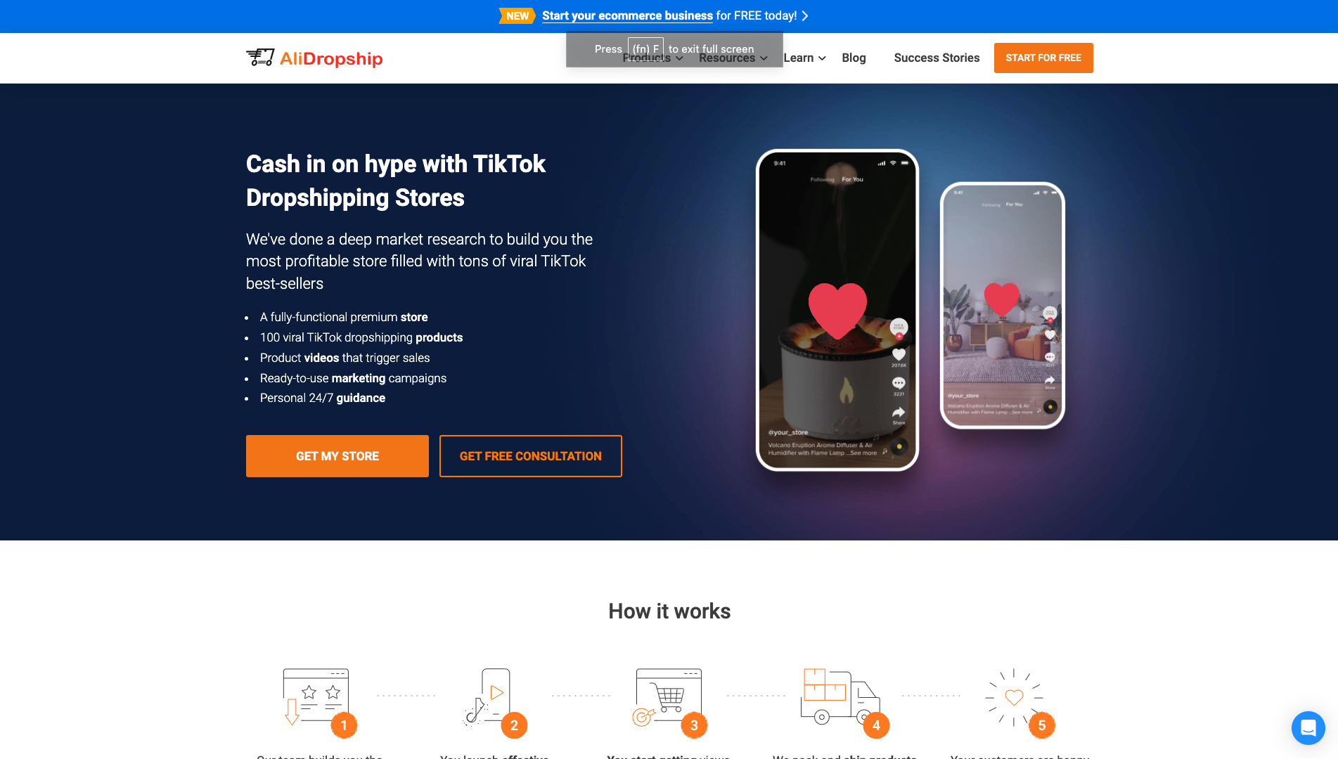 Screenshot of the AliDropship High-Ticket website
