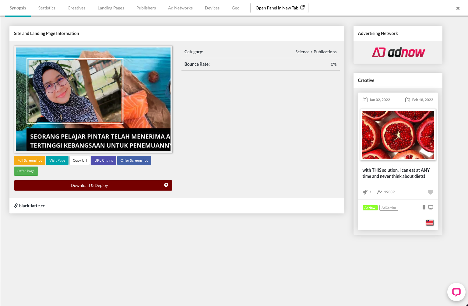 Ad Synopsis Tab