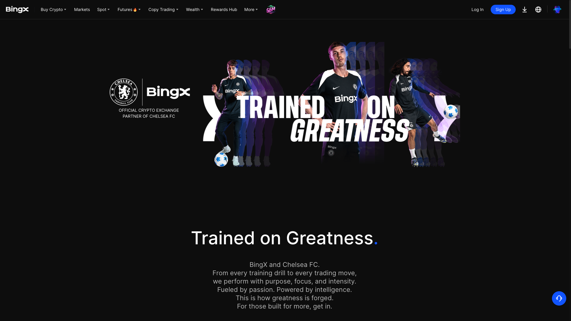 Screenshot of the BingX website
