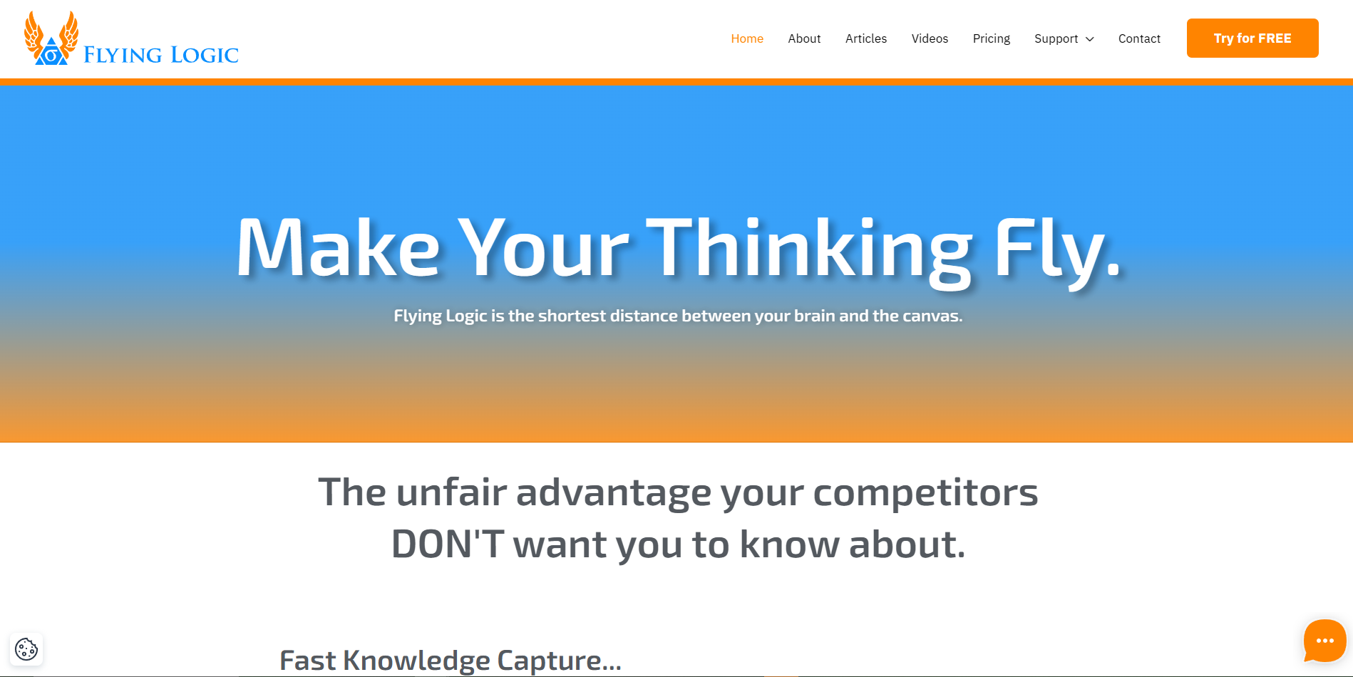 Screenshot of the Flying Logic website