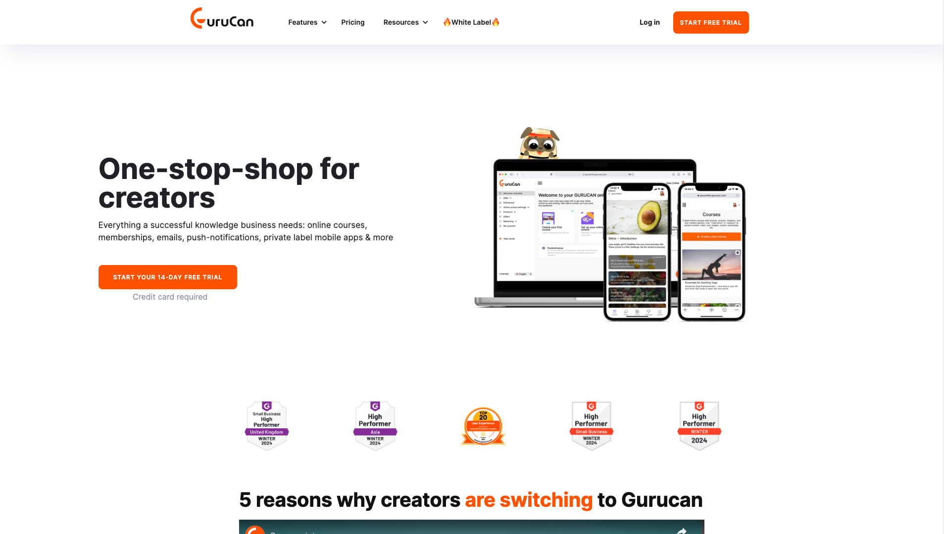 Screenshot of the Gurucan website