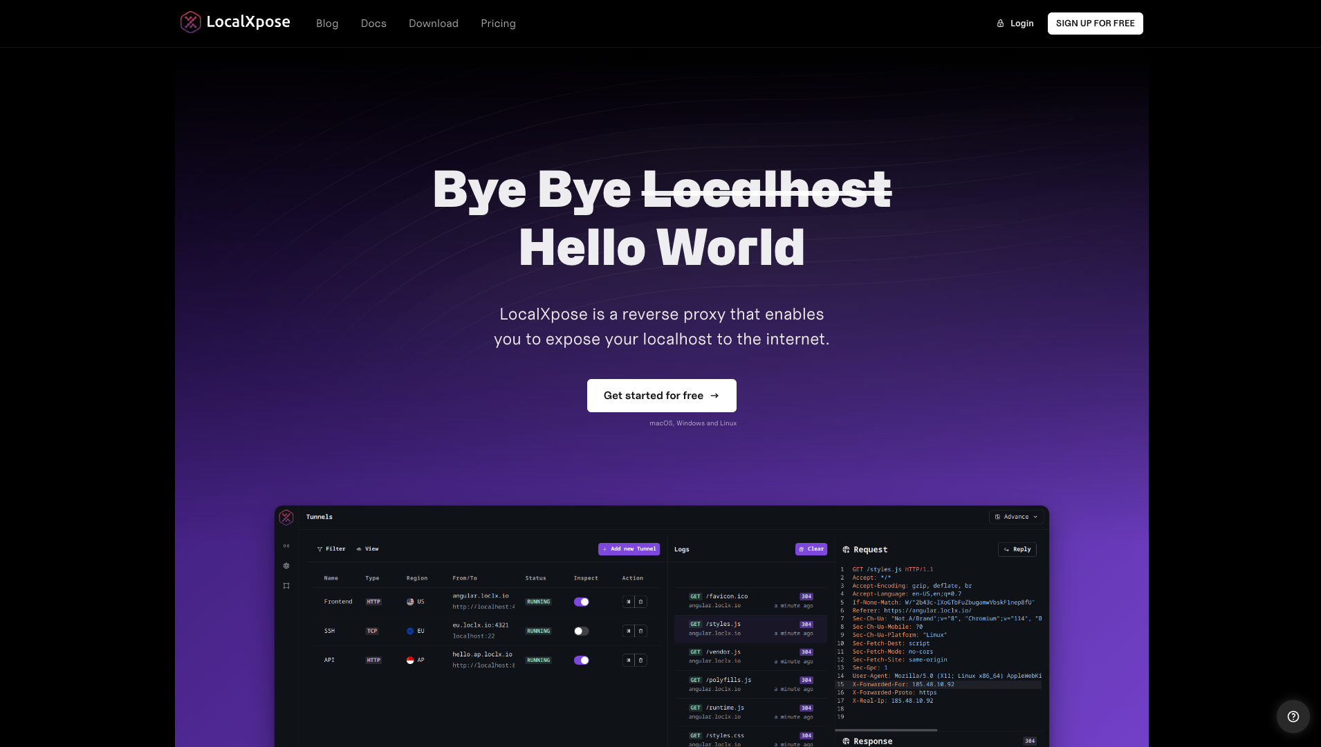 Screenshot of the LocalXpose website