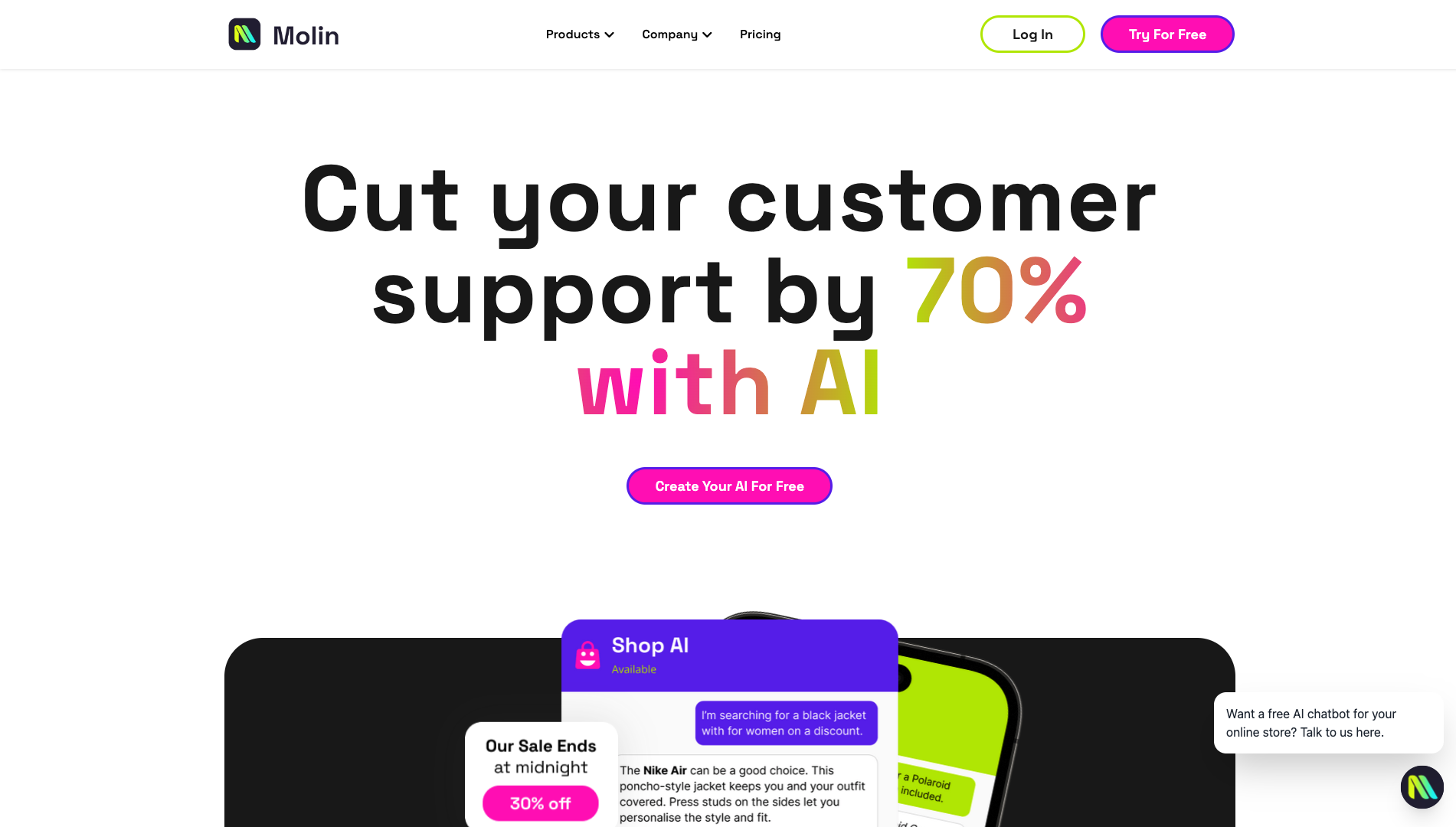Screenshot of the Molin website