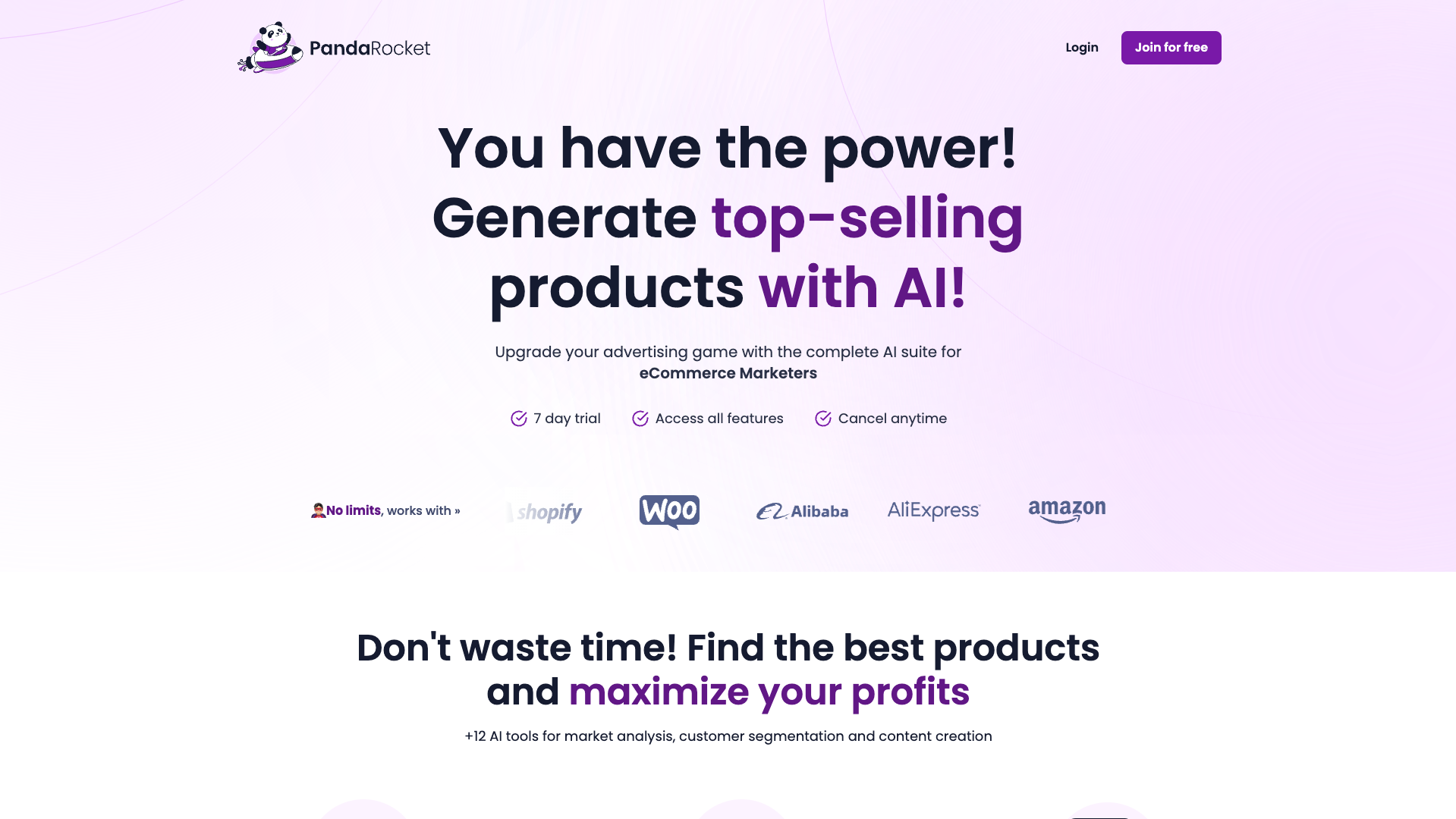 Screenshot of the PandaRocket website