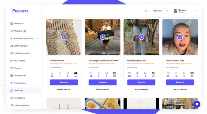 Tiktok Ads Winning Products