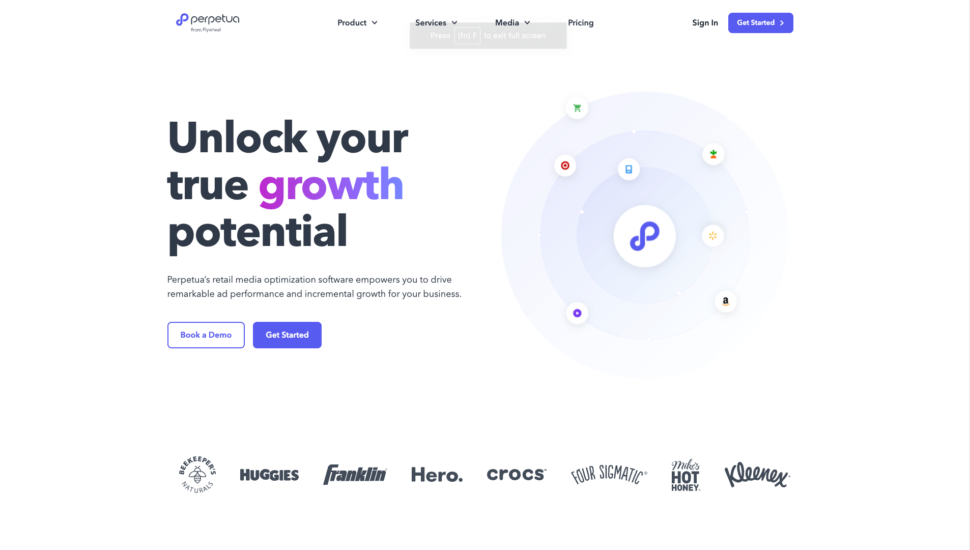 Screenshot of the Perpetua website