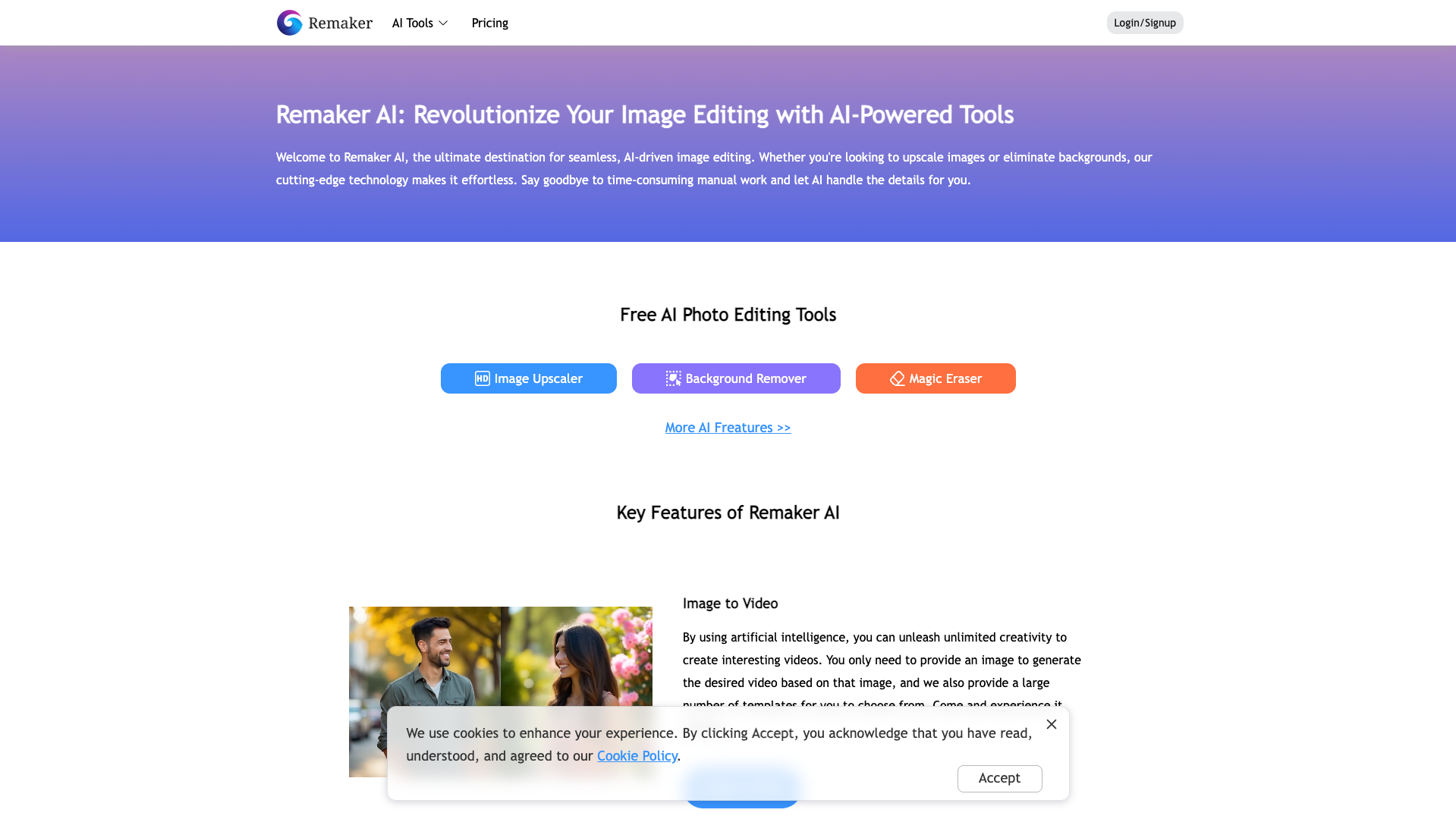 Screenshot of the Remaker website