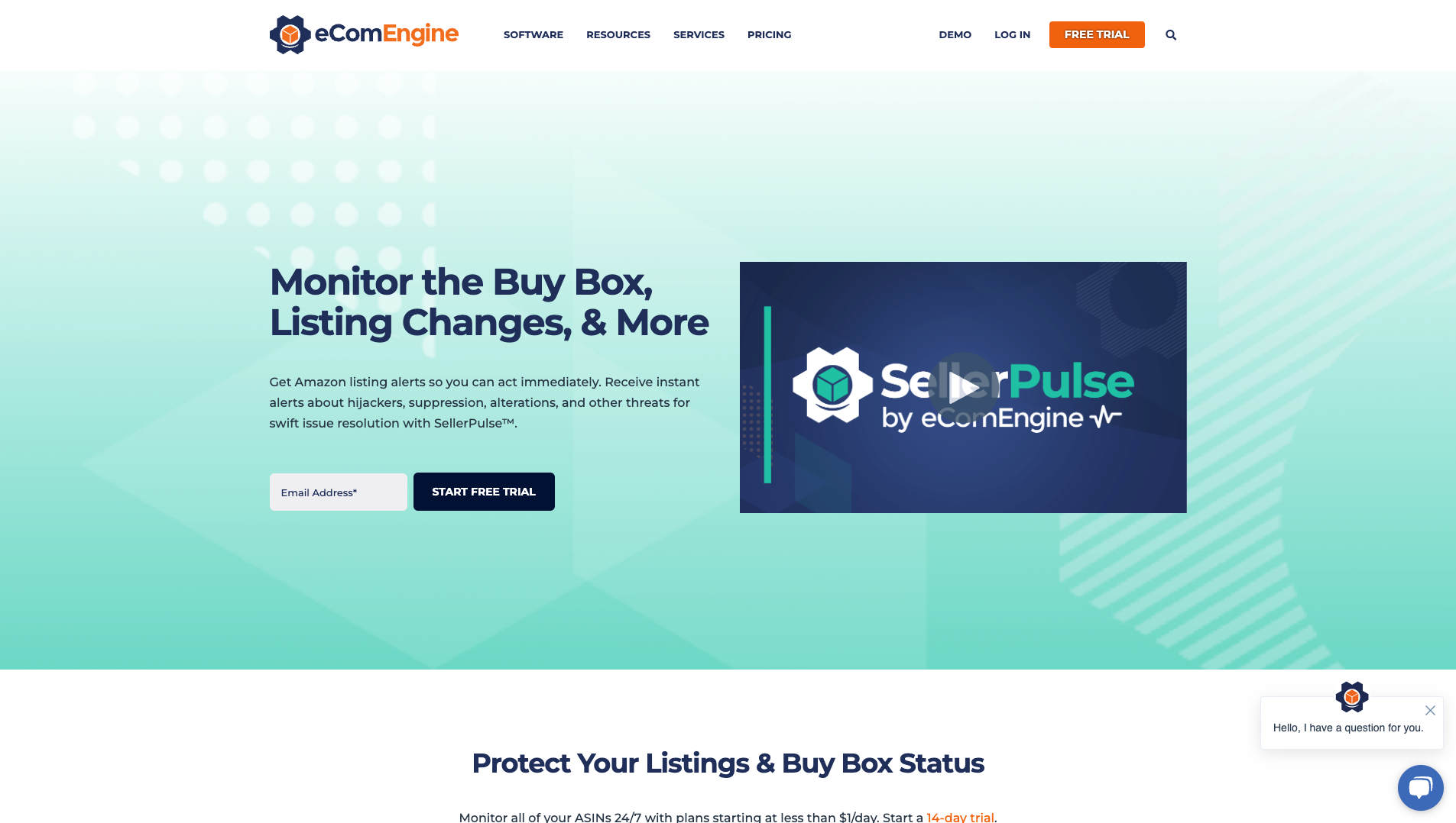 Screenshot of the SellerPulse website