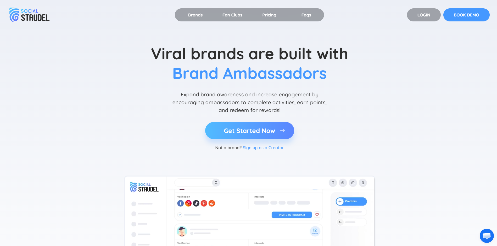 Screenshot of the Social Strudel website