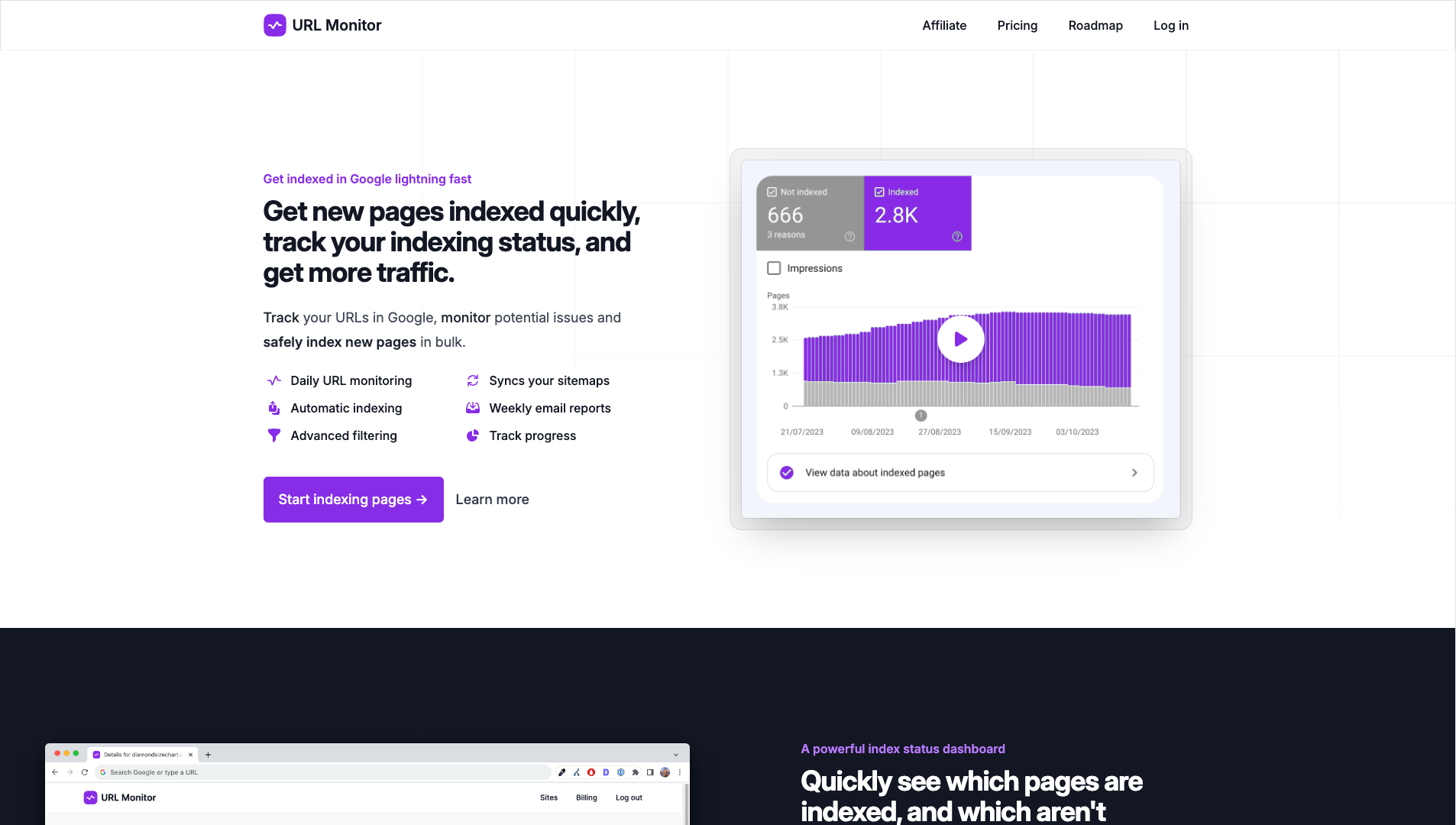 Screenshot of the URL Monitor website
