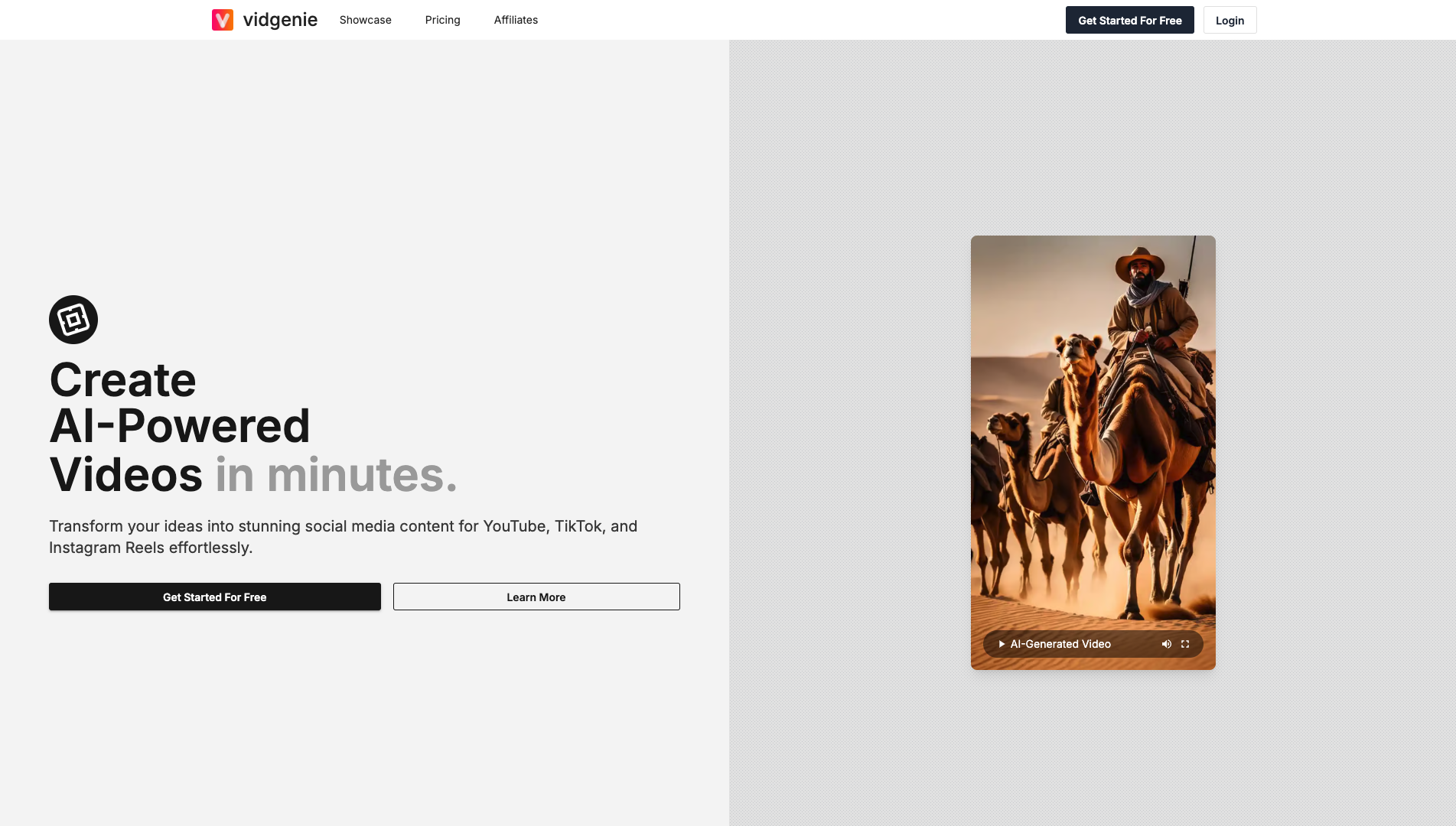 Screenshot of the Vidgenie website