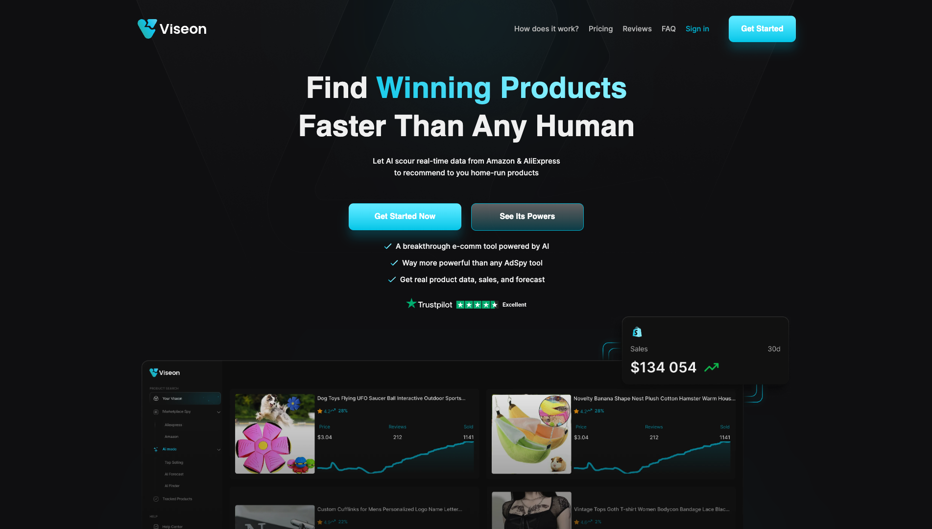 Screenshot of the Viseon website