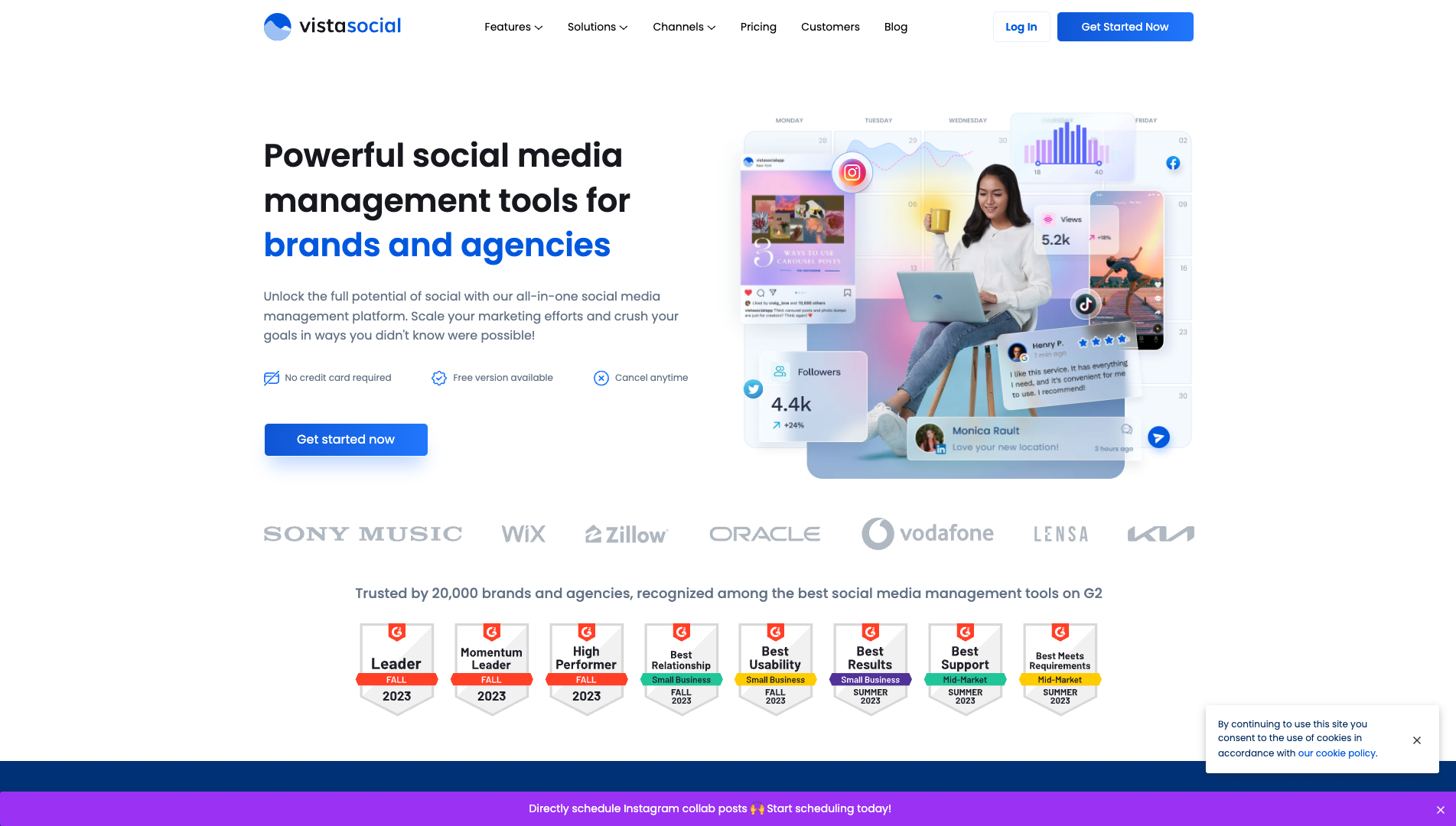 Screenshot of the Vista Social website