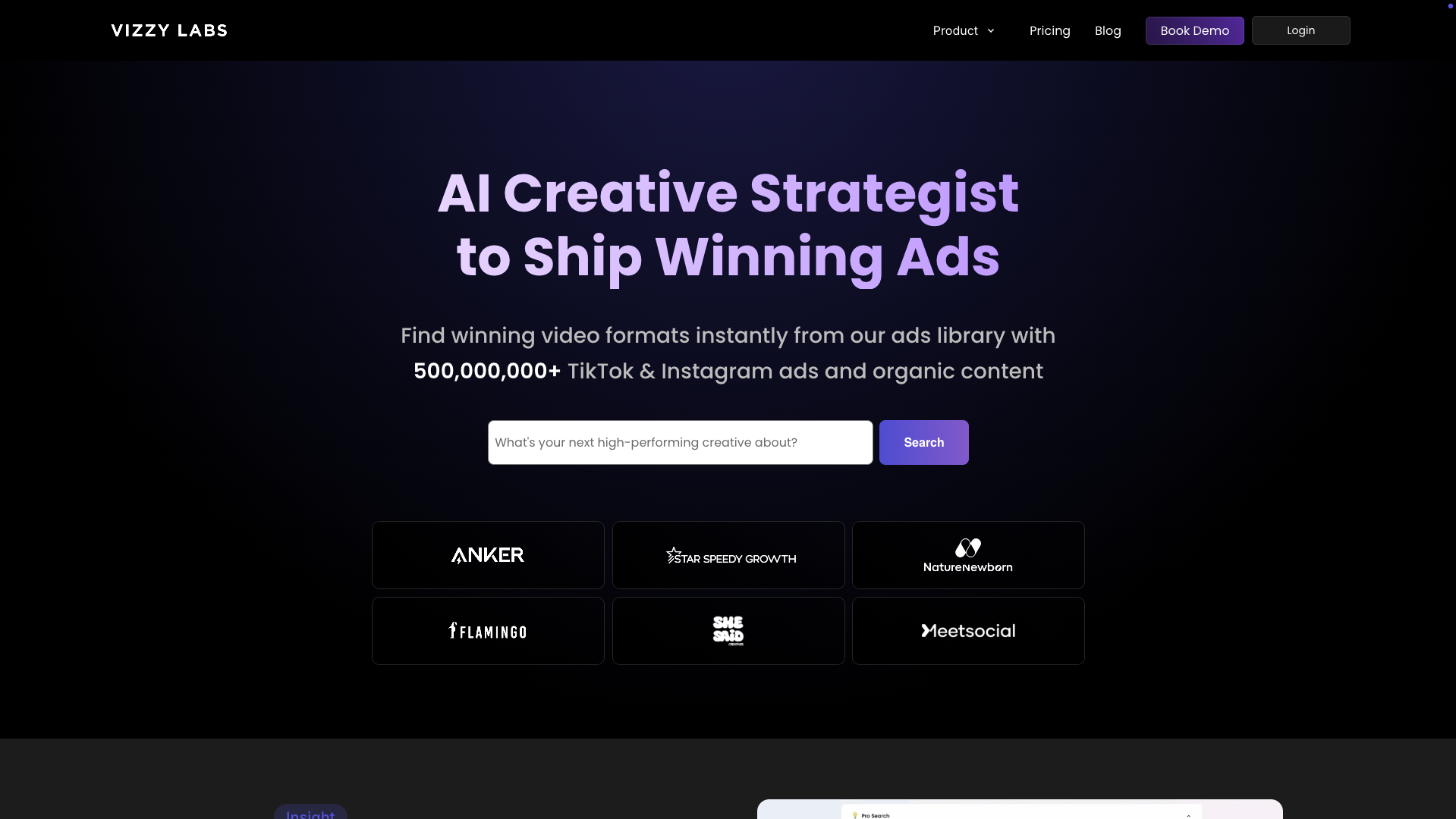 Screenshot of the Vizzy Labs website