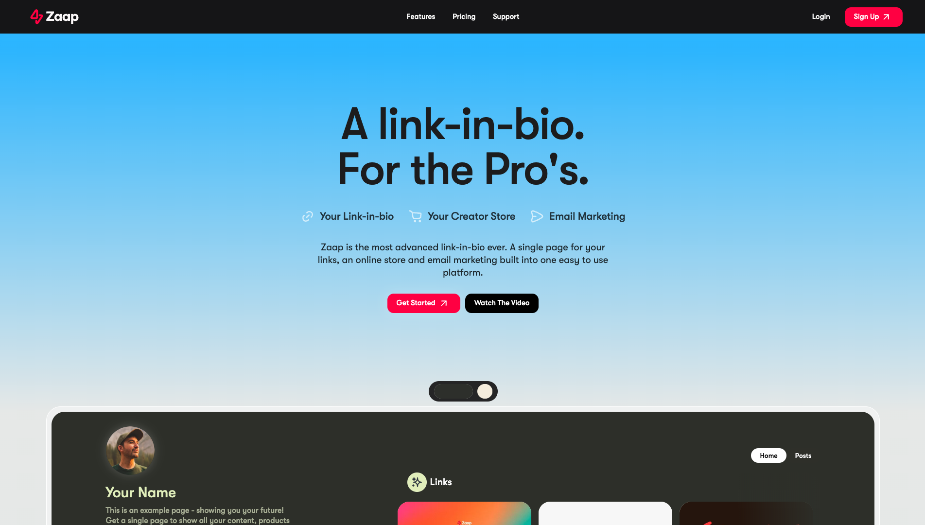Screenshot of the Zaap AI website