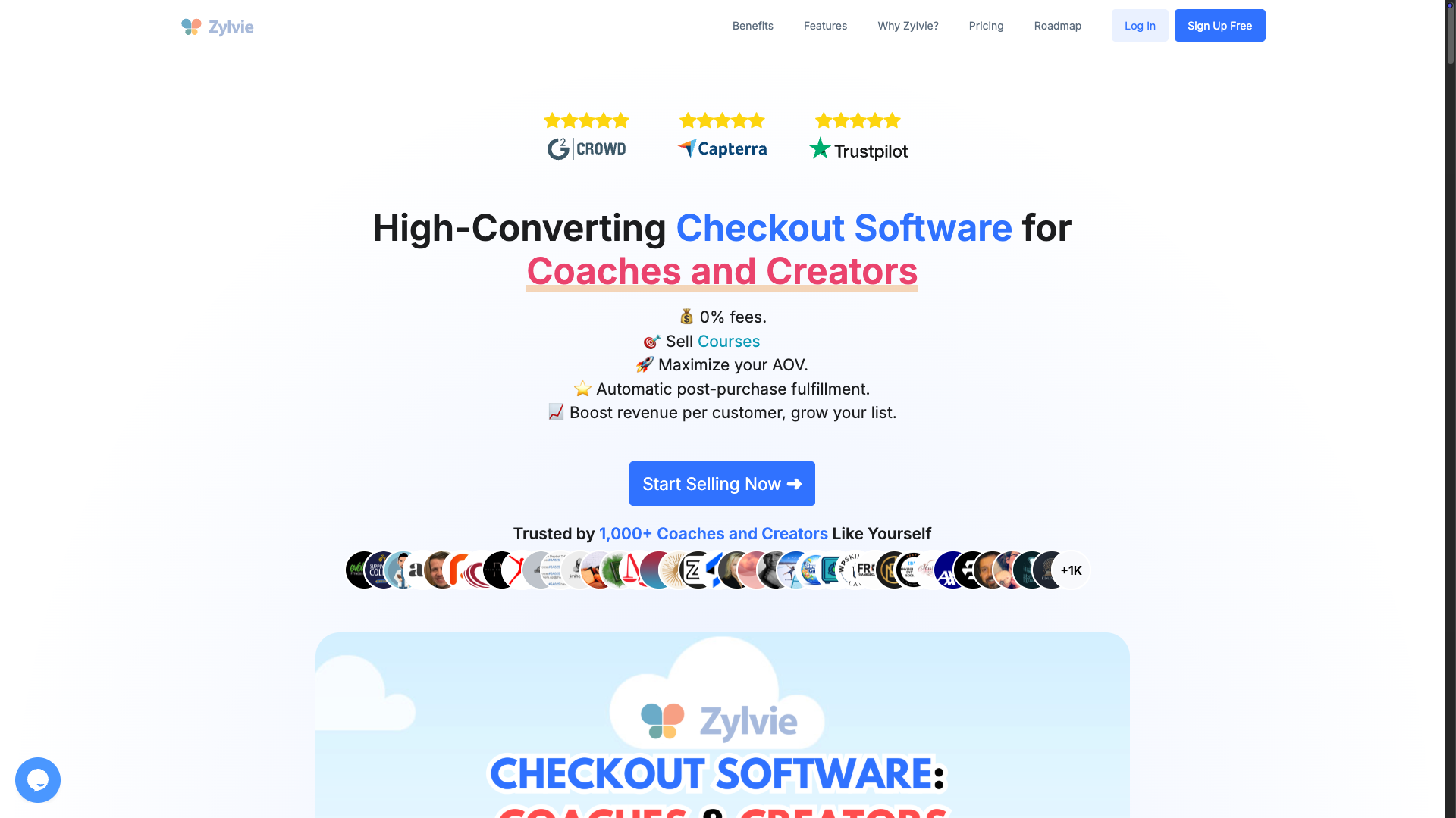Screenshot of the Zylvie website
